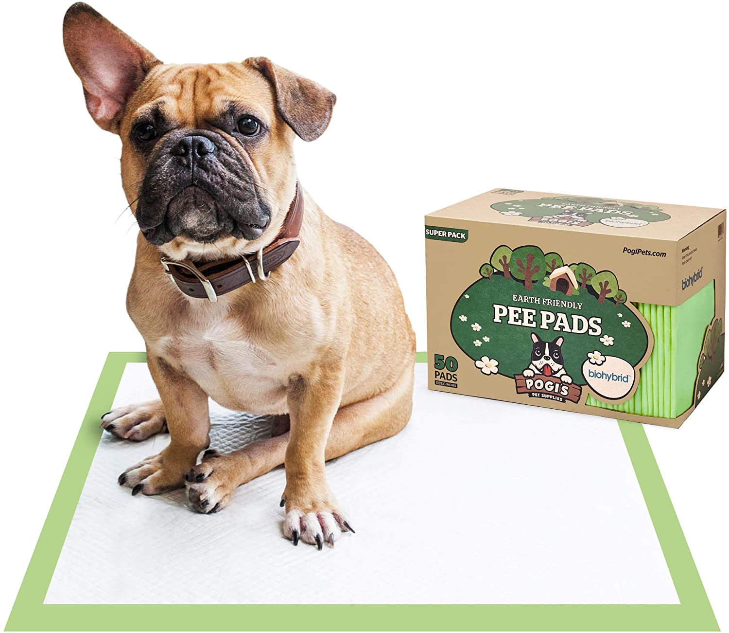 Training Pads - Large, Super-Absorbent, Earth-Friendly Puppy Pee Pads for Dogs - Eco Trade Company