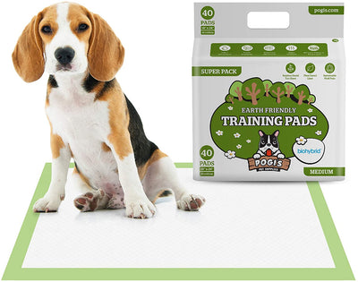 Training Pads - Large, Super-Absorbent, Earth-Friendly Puppy Pee Pads for Dogs - Eco Trade Company